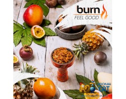 Табак Burn Feel Good (Тропический Коктейль) 100г Акцизный Табак Burn Feel Good (Тропический Коктейль) 100г Акцизный